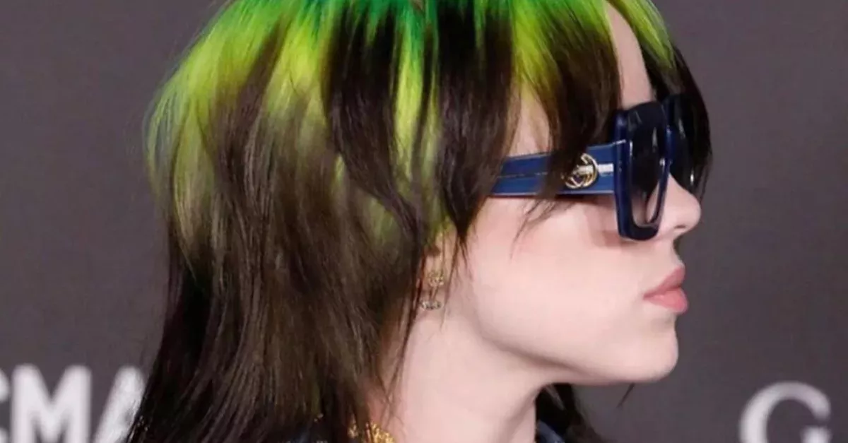After Being Pressured And Insulted, Billie Eilish Is Now Taking Action!