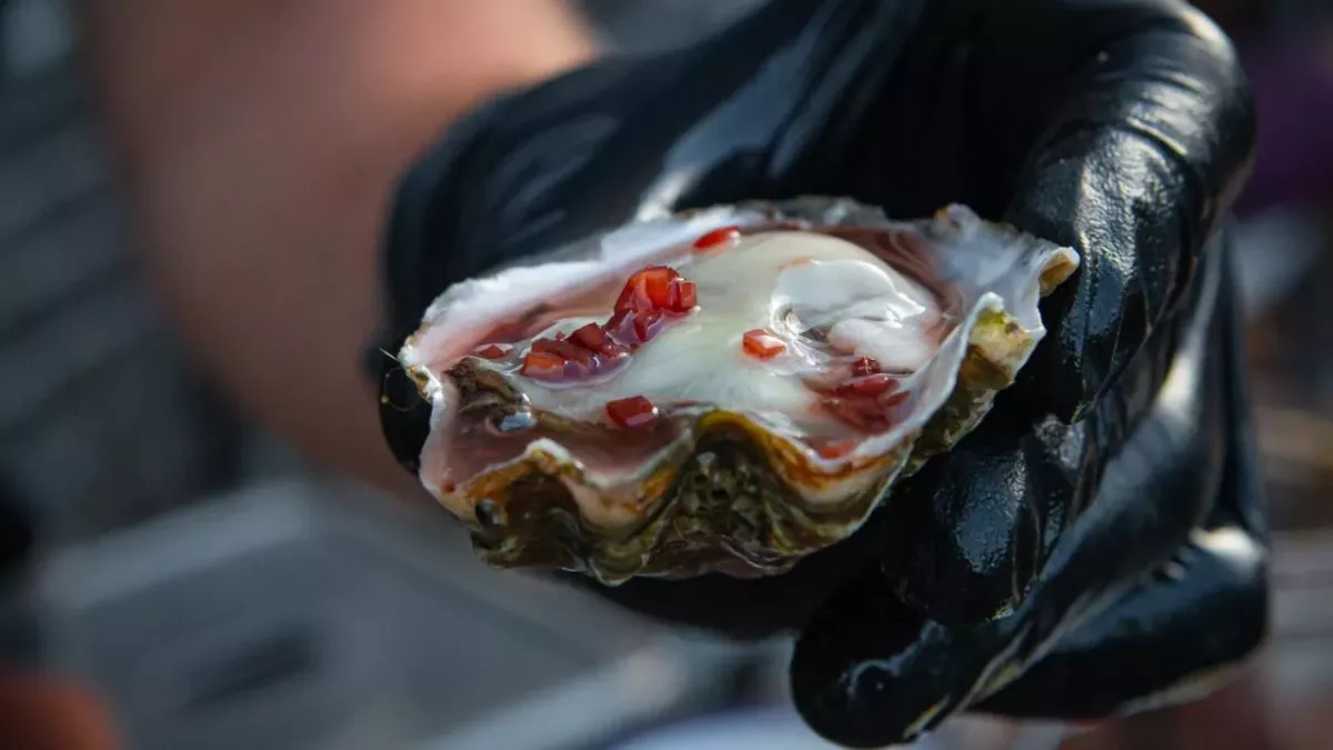 Love Island: Luca Bish’s favourite sex position explained