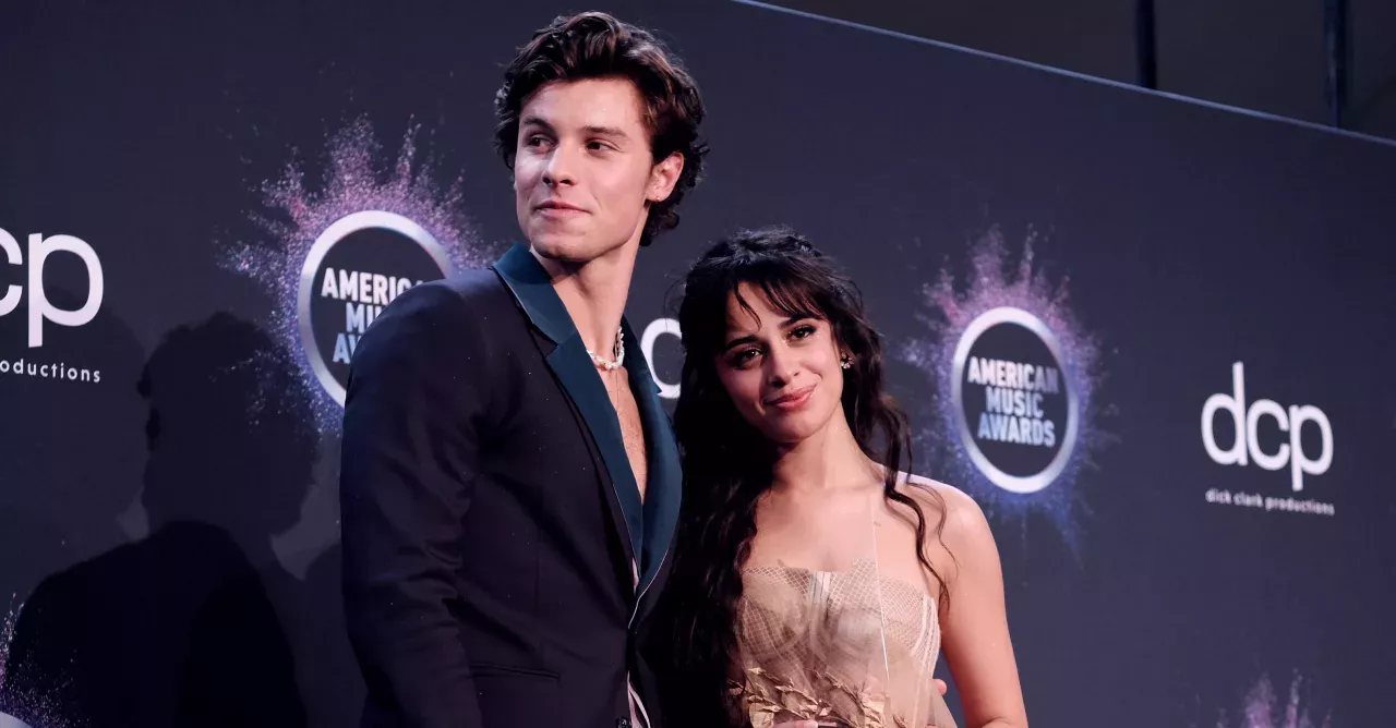 Shawn Mendes and Camilla Cabello at the American Music Awards 