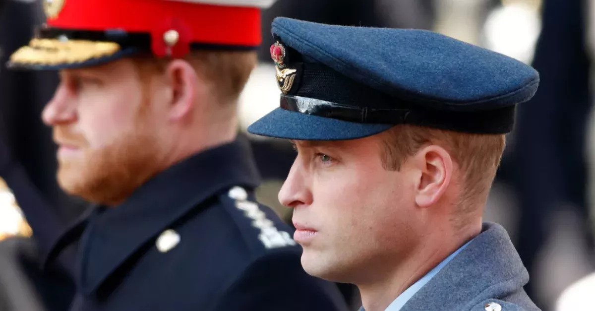 William And Harry Slam 'False News' In Surprise Joint Statement