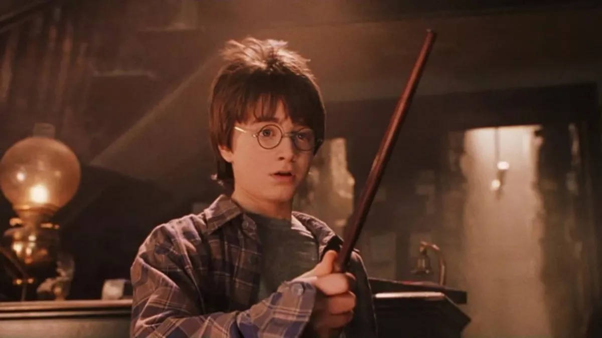  Harry Potter 
