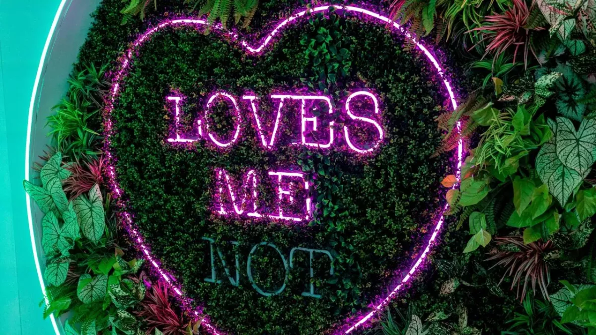 Winter Love Island: This contestant wants someone like Maura Higgins or his own TV show, no in-between