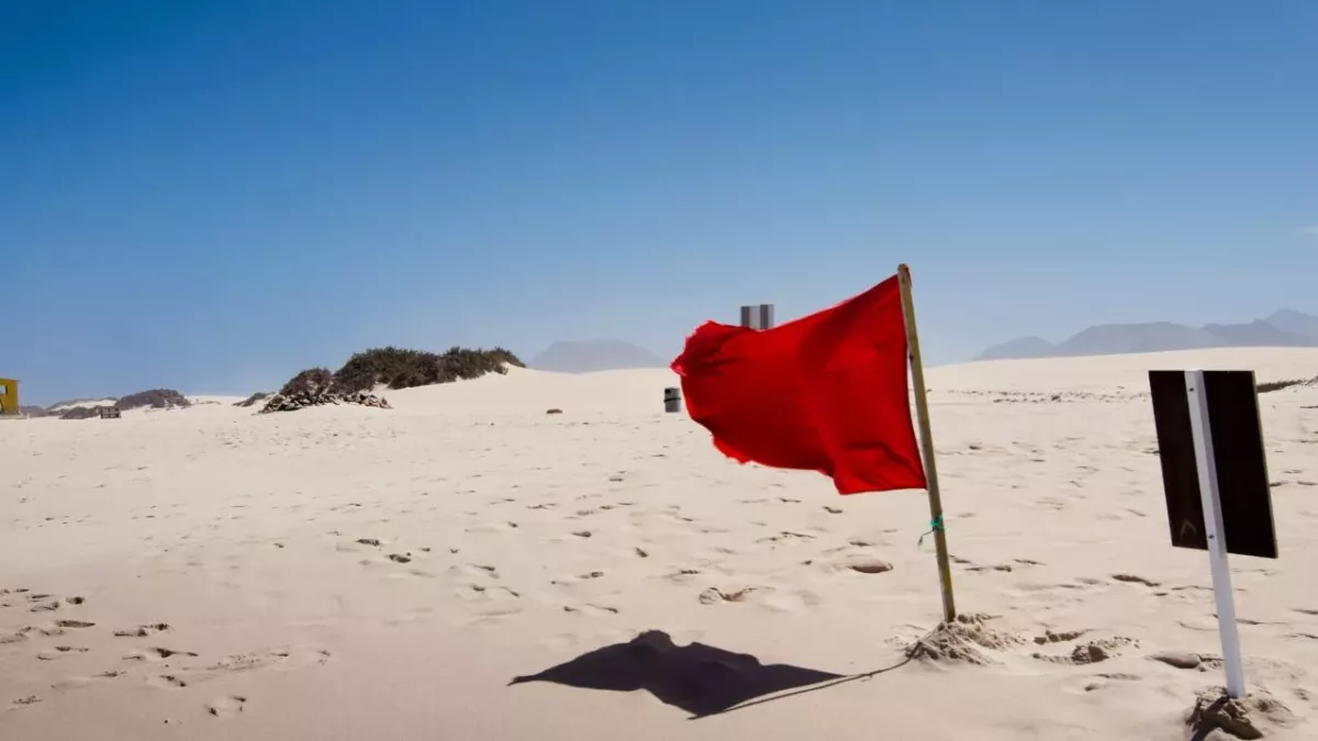 Winter Love Island: Farmer Will screams being a ‘red flag’ with this confession