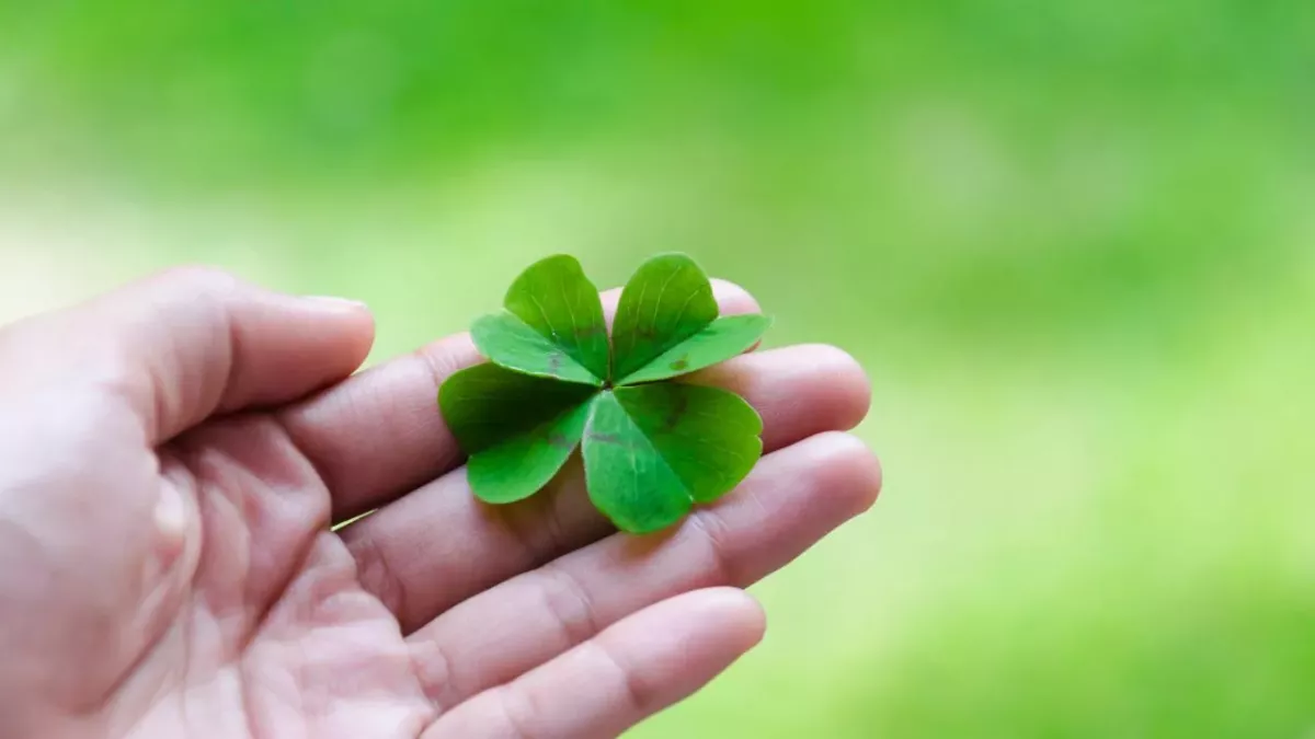 Luck