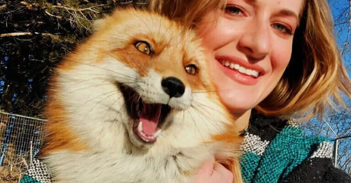 Cheeky Fox!