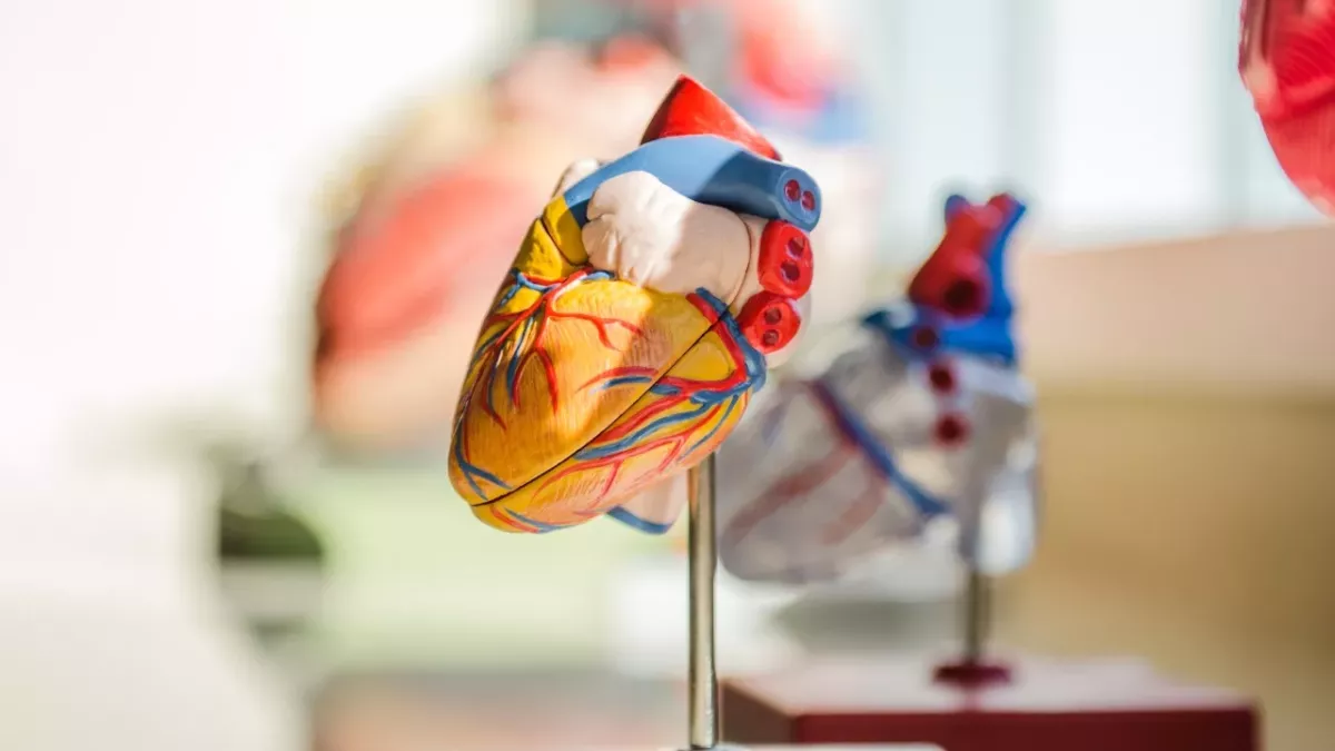 Doctors shocked to find this fish part in a man's heart
