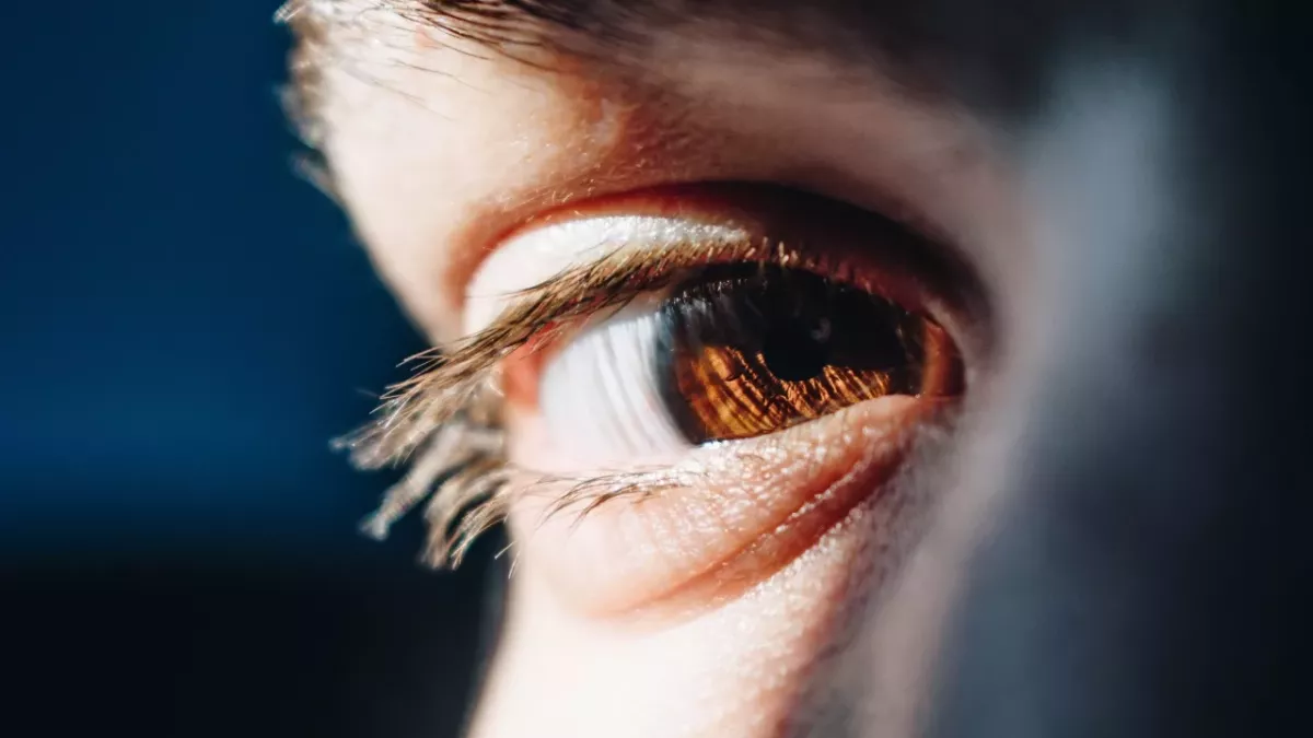 man object construction nail eye brain story weird