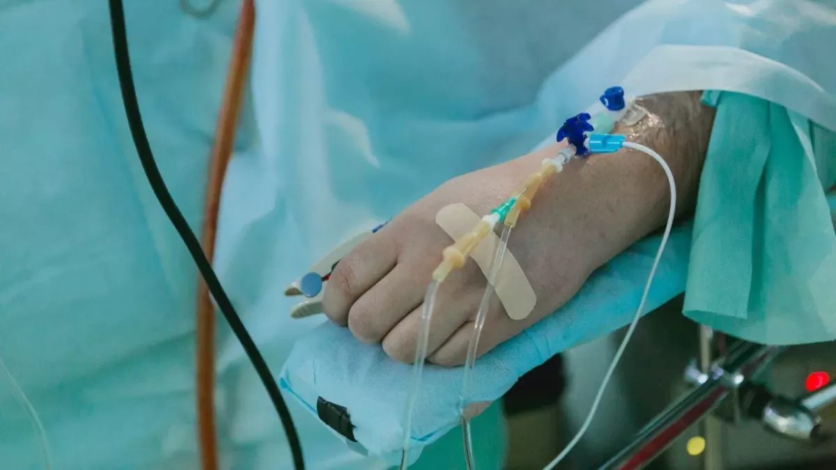 woman dies rabies cat bite