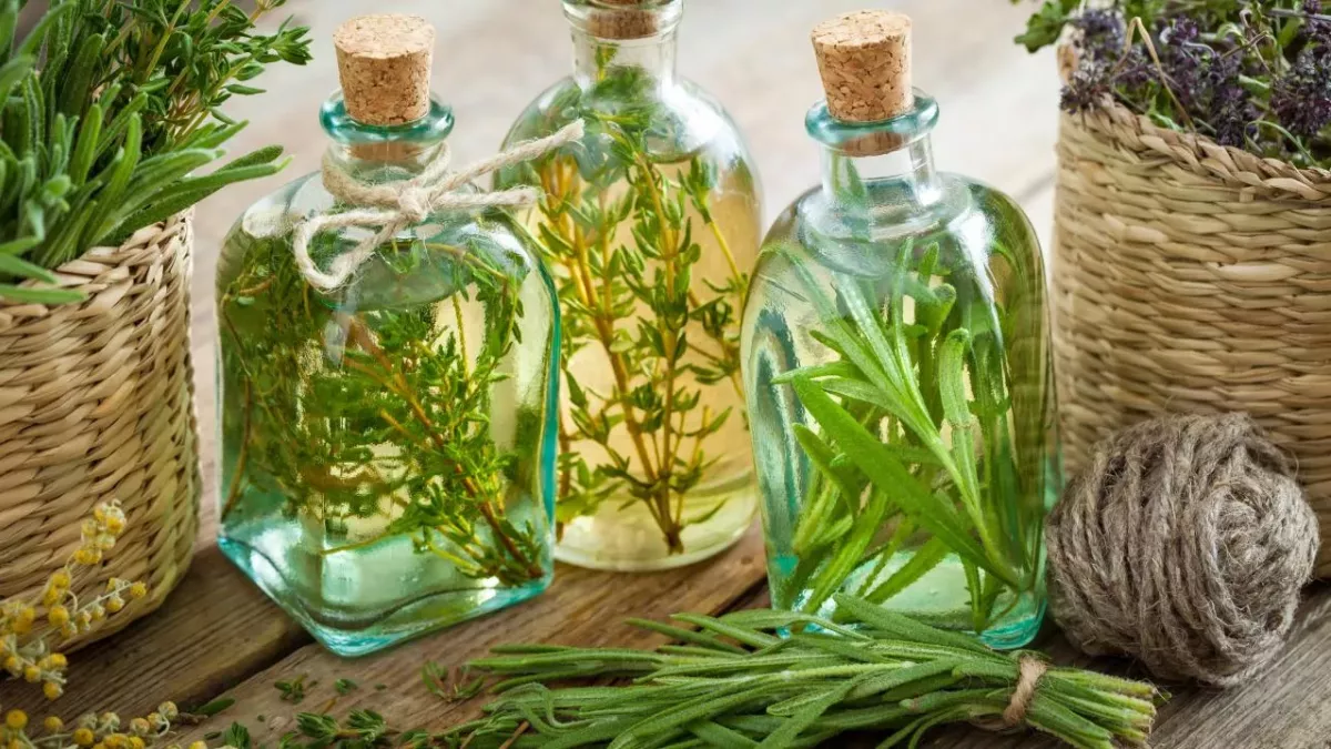 Thyme and herbs