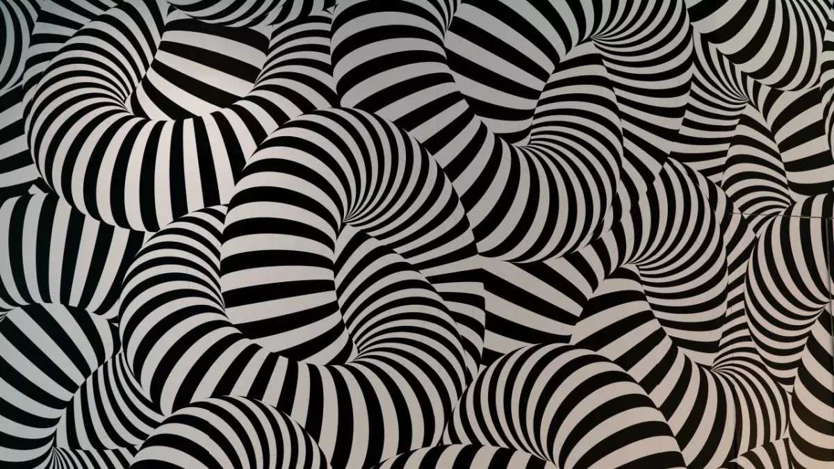 The first thing you see in this optical illusion says a lot about you