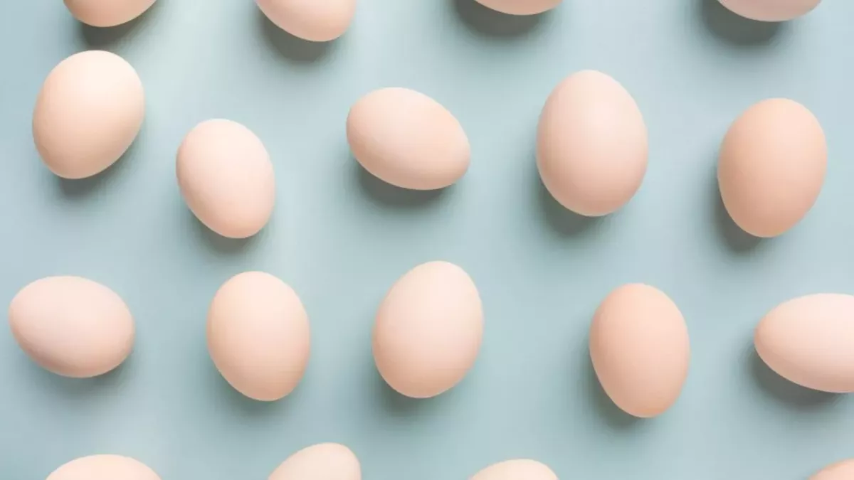 Eggs!