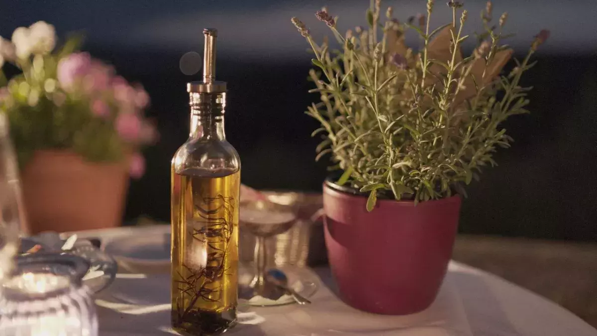 Is olive oil really a vegan friendly product?
