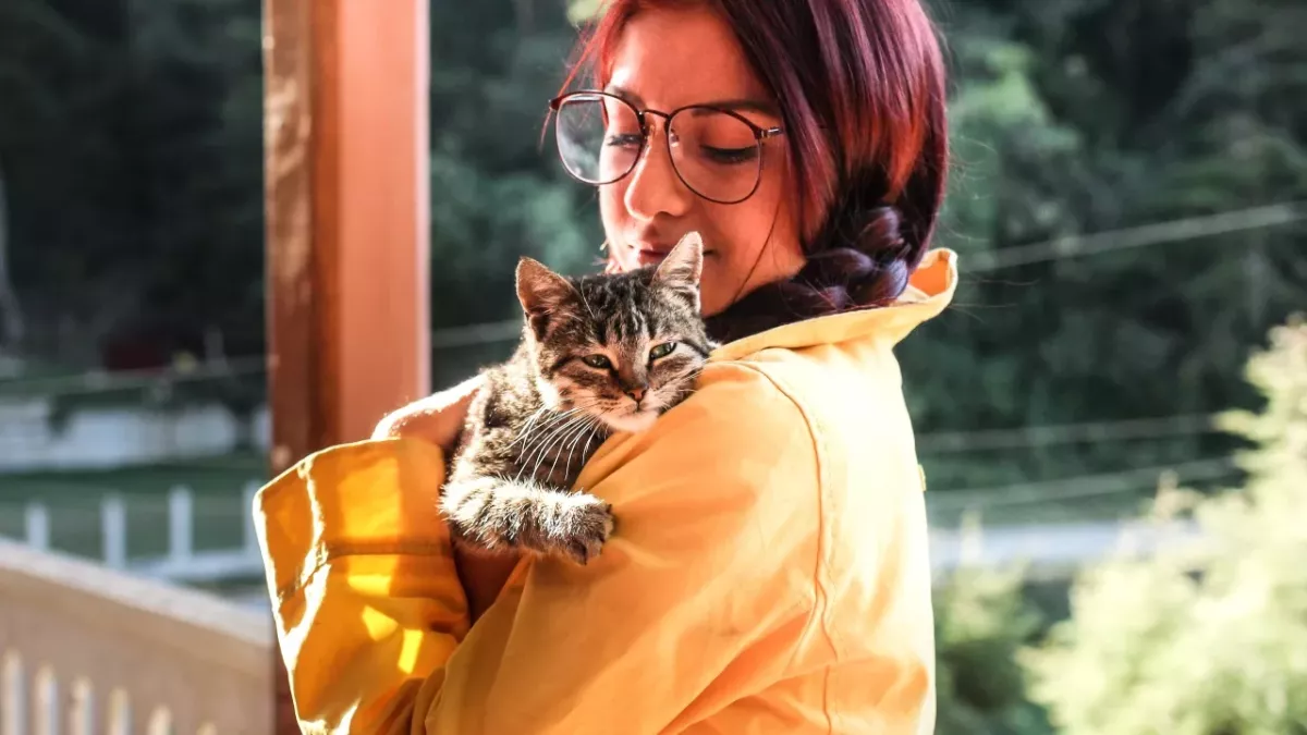 5 ways to make your cat like you