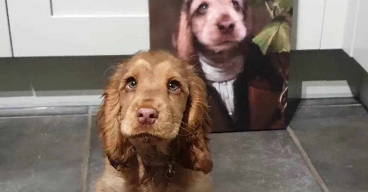 This Adorable Puppy’s Eyes Are All The Buzz On The Web