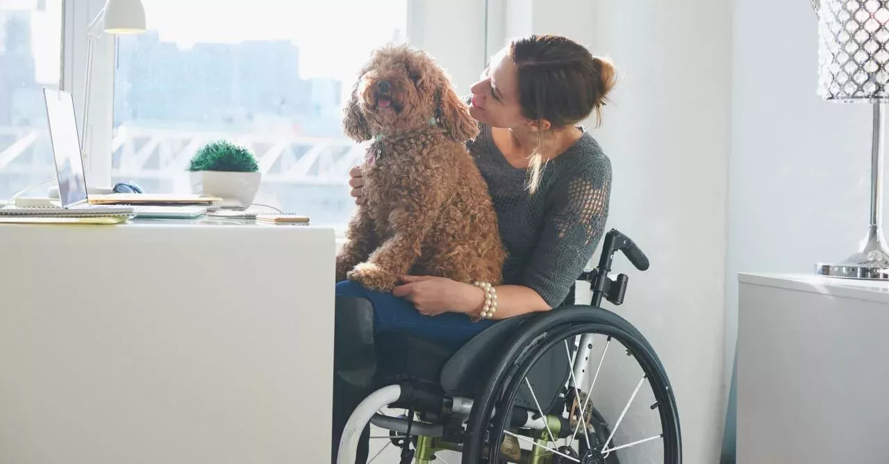 Assistance Dog Helped Its Owner Find The Man Of Her Dreams