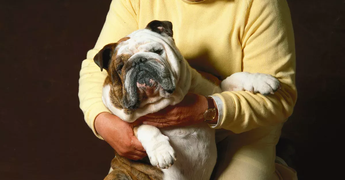 Dogs Are More Likely To Be Overweight If Their Owner Is Overweight