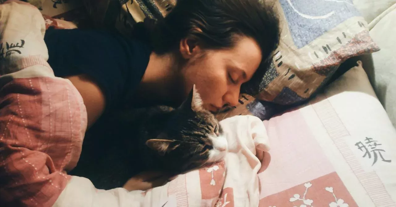 Here’s why you should be sleeping with your cat at night