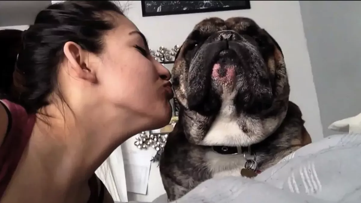 kisses