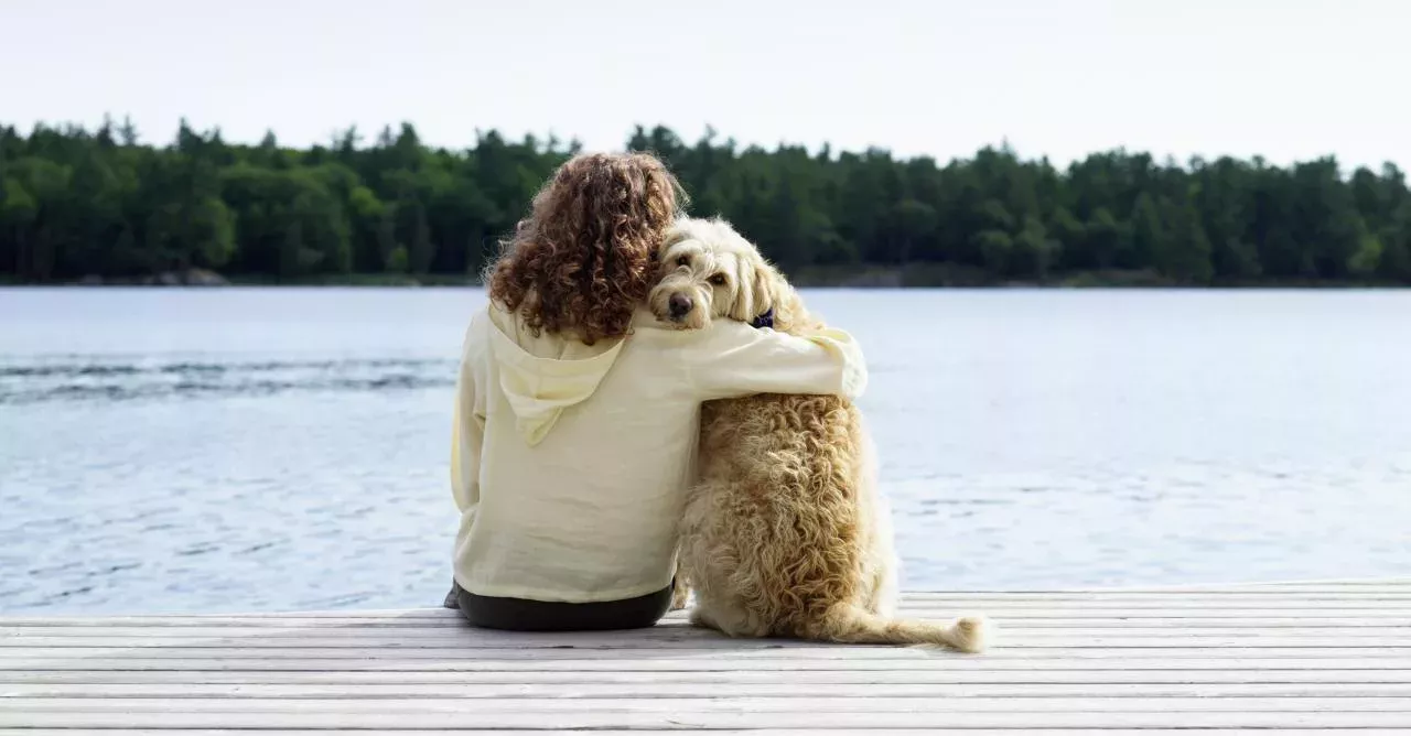 Pets