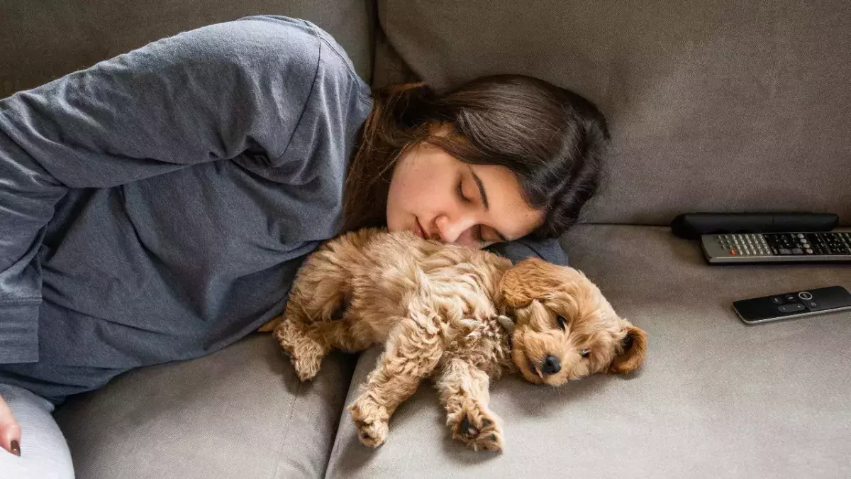 Should you be sleeping with your dog at night?