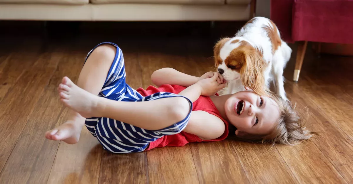 The Top 5 Family Friendly Dog Breeds