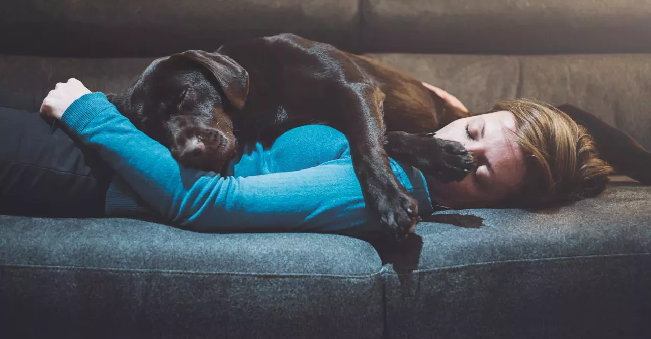 What You Should Do To Stop Your Dog Following You All Over The House