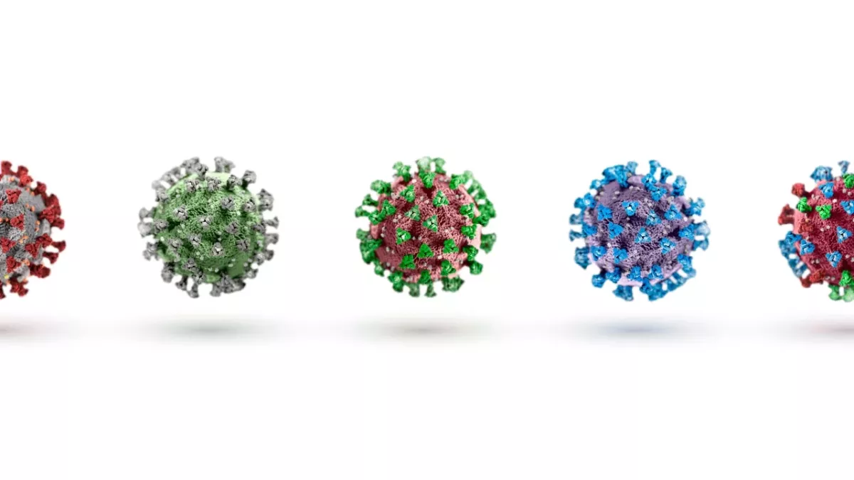 Covid-19: A new variant is straining health systems, here's everything we know