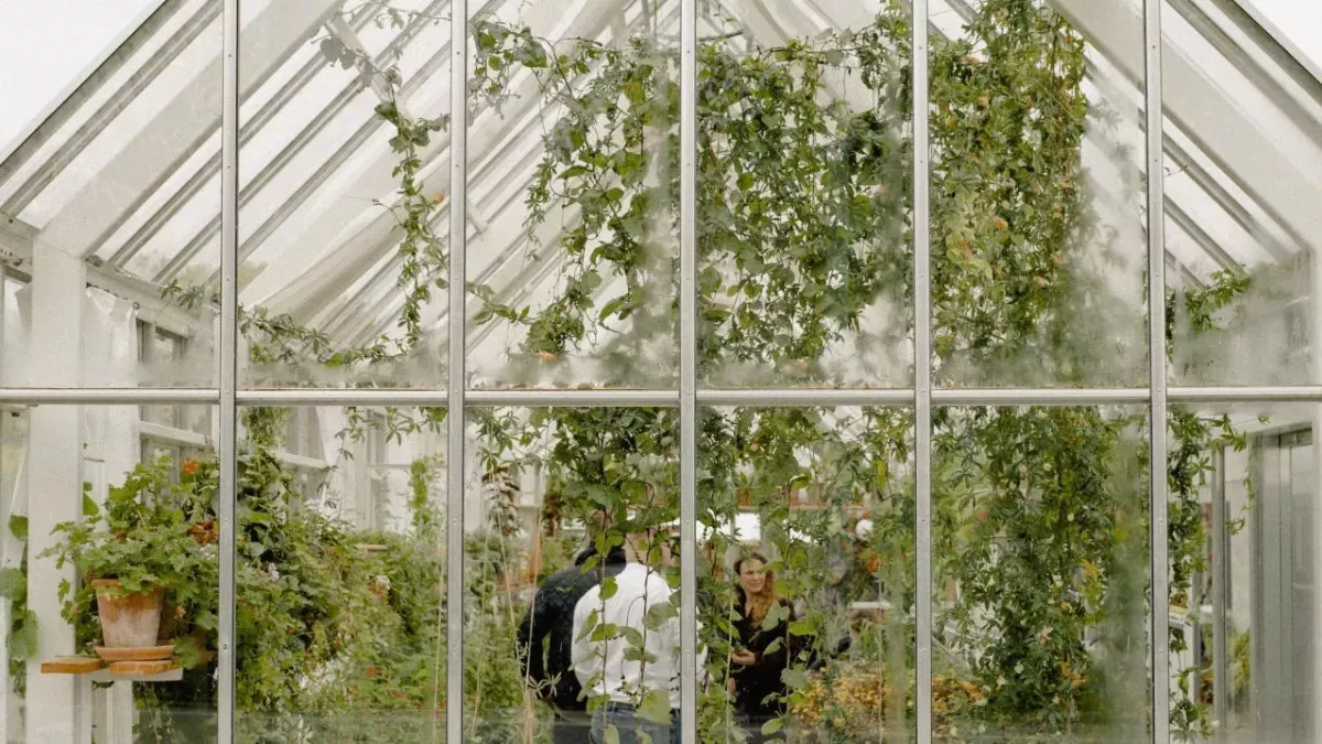 Greenhouse