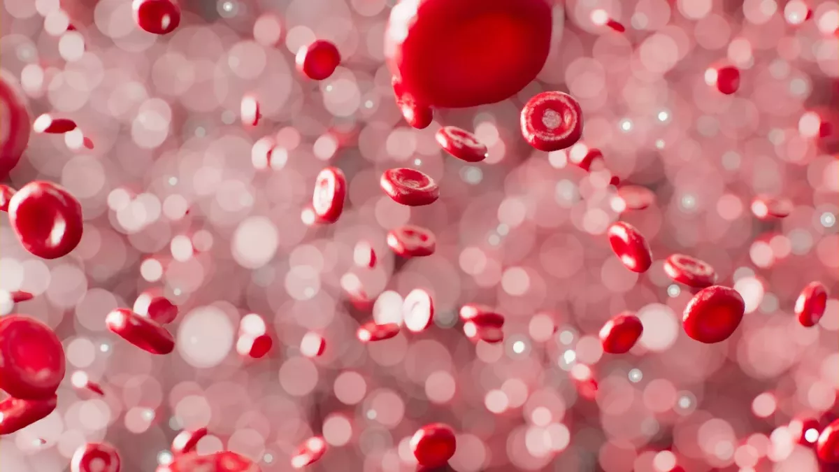 Microplastic is in our blood and this is how it impacts our health