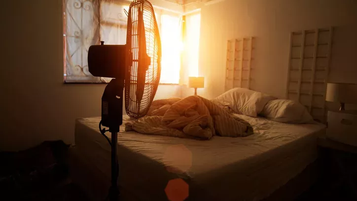 Fan