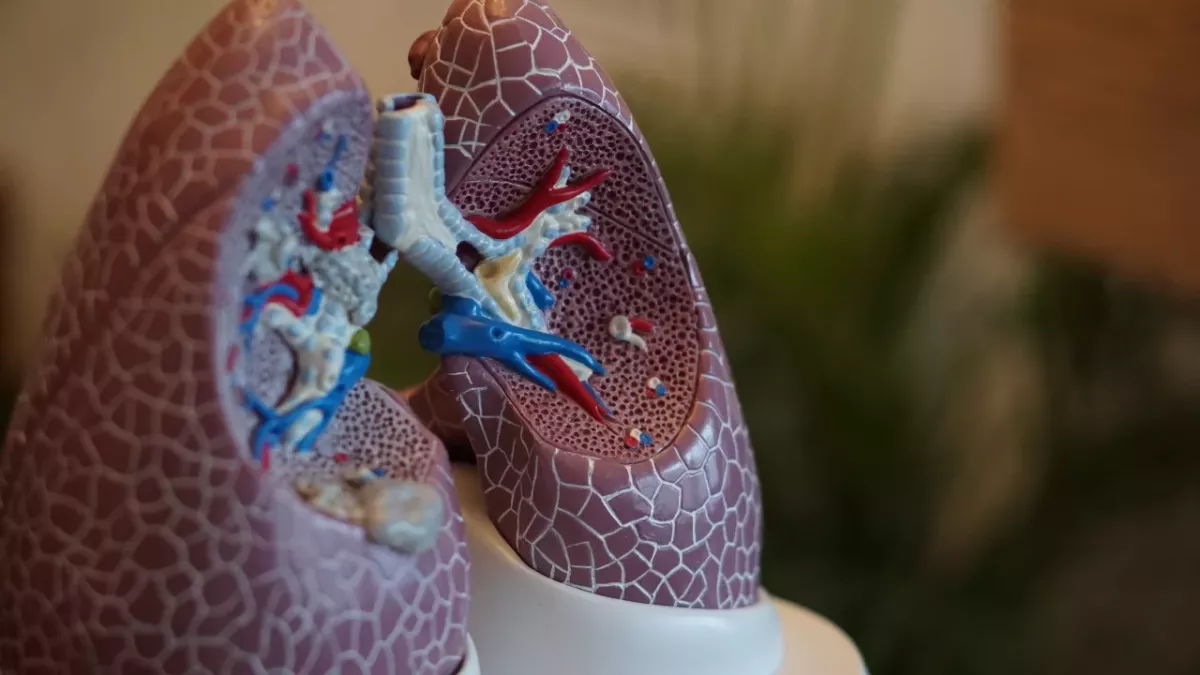 lung cancer tea risks danger health