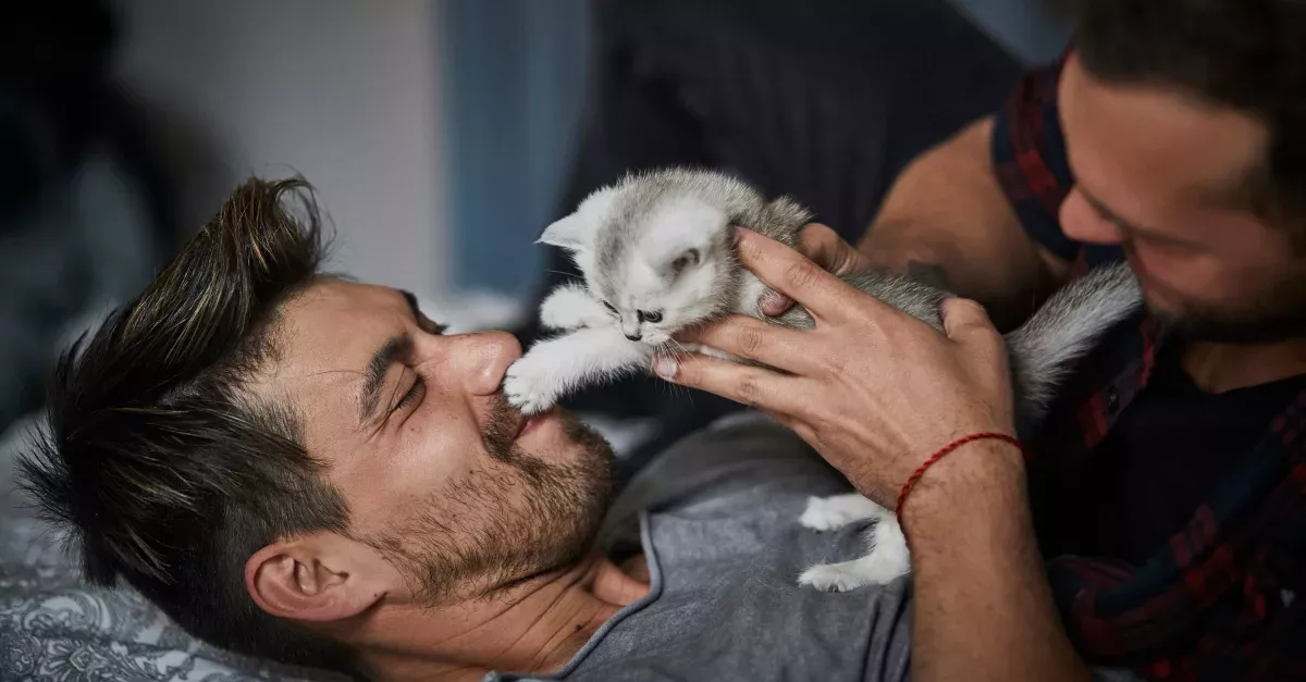 More And More Couples Are Choosing Pets Over Kids