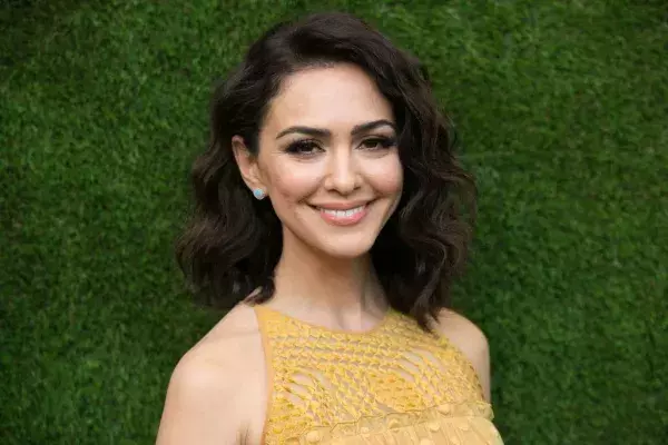 Nanzanin Boniadi in the first Iron Man movie