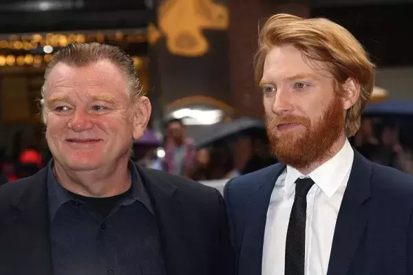 Domhnall Gleeson's role in Harry Potter