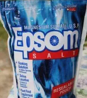 Add epsom salt to your soil to increase the growth process! This also adds nutrients and repel pests.