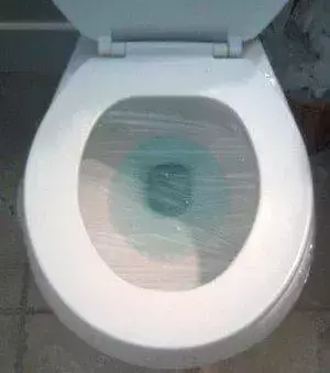 Cover the toilet seat with cling film! Make sure you remove the light bulb in your bathroom so they won't be able to see the cling wrap!