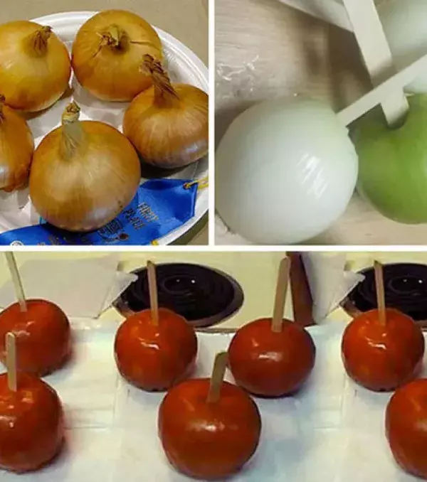 Make toffee apples with onions, these won’t taste too nice!