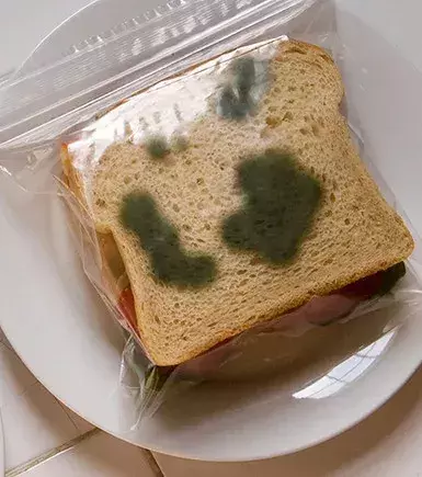 Put fake mold on the ziplock bags.